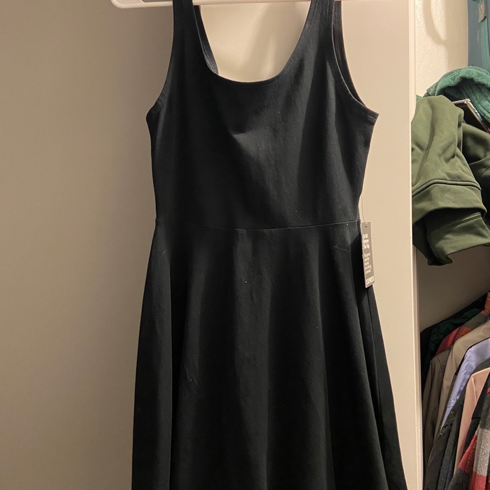 Express Skater Tank Dress
